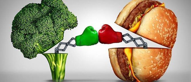 Alimentos útiles y dañinos