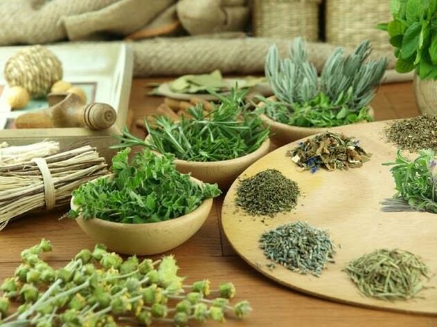 Fitoterapia para el poder